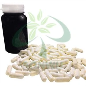 Fonturacetam Hydrazide m Fonturacetam Hydrazide m