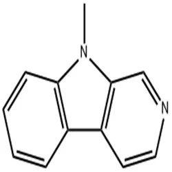 9-me-bc 9-me-bc