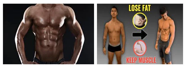 gain muscle gain muscle