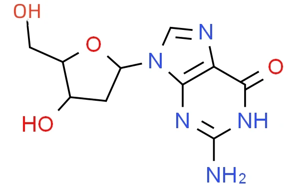 Deoxyguanosine Powder MF Deoxyguanosine Powder MF