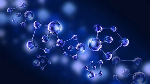 antioxidant antioxidant