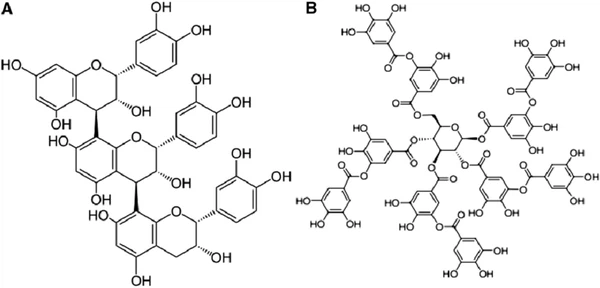 Condensed-tannin-A-Tannic-acid-B-Panel-A-is-reproduced-from Condensed-tannin-A-Tannic-acid-B-Panel-A-is-reproduced-from