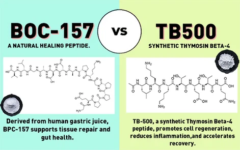 Which is better TB500 or BPC-157 Which is better TB500 or BPC-157