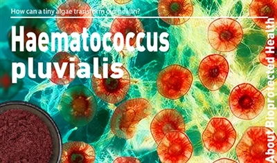 Kaip maži dumbliai gali pakeisti mūsų sveikatą