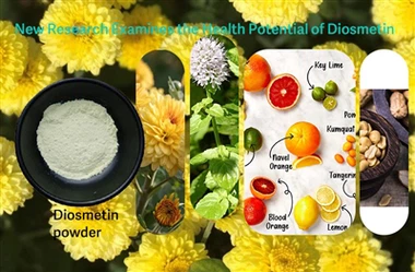 Tyrėjai nagrinėja galimą Diosmetino vaidmenį kovojant su oksidaciniu stresu