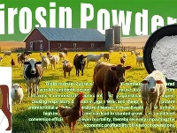 Ilgai{0}}veikiantys antibiotikai gali pagerinti gyvulių sveikatą