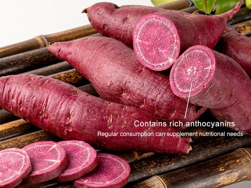 850-484Purple sweet potato-1