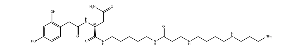 lactoferrin structure lactoferrin structure