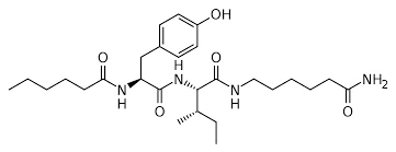 Dihexa chemical formula Dihexa chemical formula